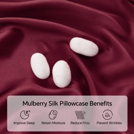 INFIIXSO Mulberry Silk Pillowcase for Hair and Skin, Silk Pillow Cases Standard Size with Hidden Zipper 20x26 Inches, Super Smooth and Soft Cooling Pillow Cases for Hot Sleepers(Burgundy, 1 Pack)