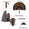EZ Mount Turkey Fan Display
