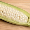 TomorrowSeeds Country Gentleman Sweet White Corn Seeds | Heirloom Shoepeg