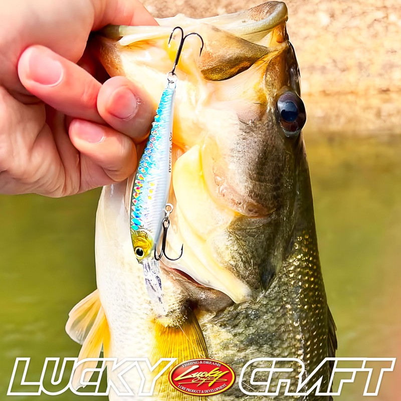 Lucky Craft Beefreeze 65LB WT-SP Wakasagi