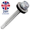 SS8® 25 x 35mm Screws Hex Head Self Tapping Roofing