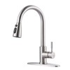 WOWOW Kitchen Faucet with Sprayer, Kitchen Sink Faucet, SUS 304