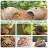 QUOZUO Crested Gecko Tank Accessories, Reptile Climbing Vines Hanging Plants