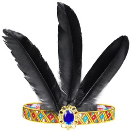 Hatstar Indian Hair Band Headband | Hair Accessories Elastic with Brooch and Feathers | Headpiece for Fancy Dress, Carnival, Theme Party | Feather Jewellery Accessory for Women, Men and Children