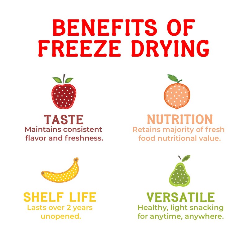 Nature’s Turn Freeze-Dried Fruit Snacks, Pear Crisps, Pack of 6