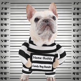 Dog Prisoner Costume with DIY Hand-Written Sign and Crime Board - Halloween Inmate Dog Costume Funny Jail Costumes, Convict Cosplay Pet Criminal Outfit with Arms for Small Medium Large Dogs, Large