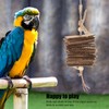 5pcs Parrot Cardboard Chew Toy Funny Natural Bite Resistance Bird