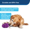 PetSafe Busy Buddy Squirrel Dude, Interactive Treat Dispensing Dog Toy
