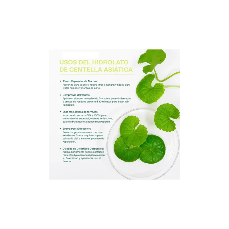 Hidrolato De Centella Asiática Reparador, Cicatrizante120 Ml