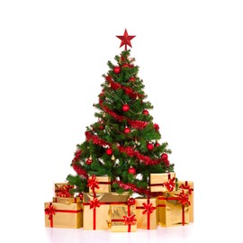 TOYANDONA Christmas Decor Star Tree Topper Star Christmas Tree Topper Christmas Tree Decorations Star Xmas Tree Star Topper Mini Christmas Tree Topper Bling Decor Star Decor Double Sided Set