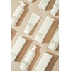 Pitorivière Phyto Rivière Ever Breeze Hair Loss Symptom Relief Functional