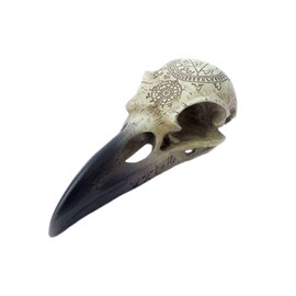 Gamital Alchemy Gothic Raven Skull - Omega | Fantasy Raven Skull with Magic Symbols, Hand Painted
