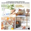 Kit De 12 Aceites Esenciales 100% Natural Para Difusor Y