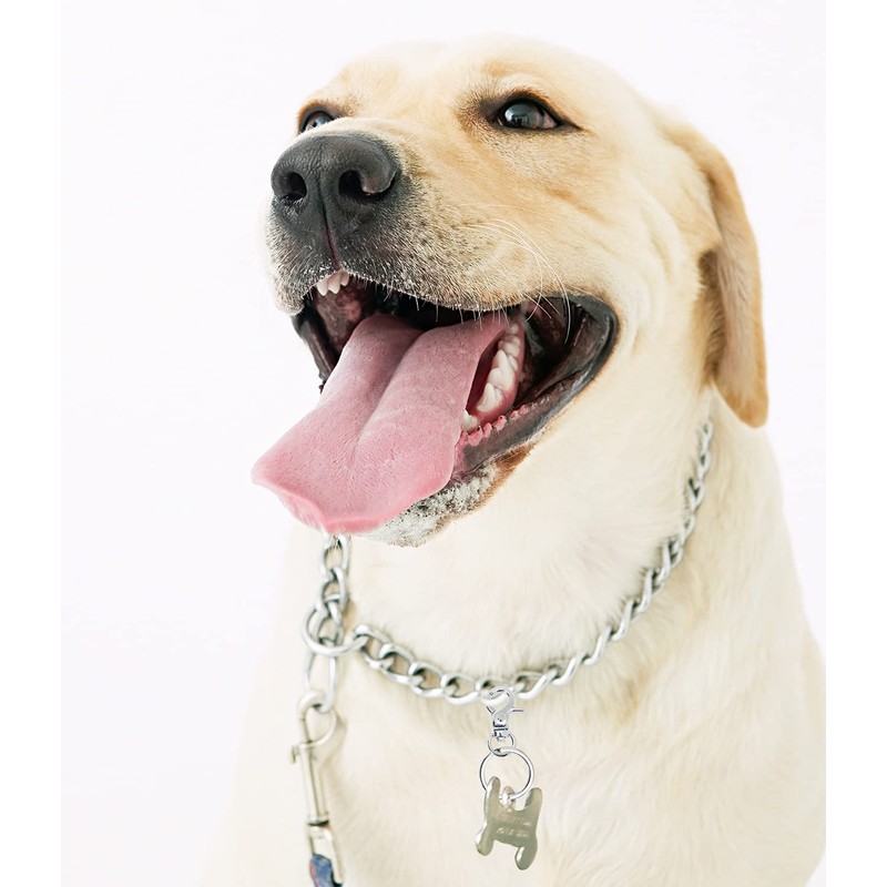 Dog Tag Clips Penta Angel 4Pcs Pet ID Name Tag