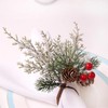Generic Christmas Cedar Red Fruit Napkin Rings Natural Pine Needle