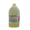 Ecolab Eco-San Commercial-Stregth Sanitizer, 1 Gallon Bottle, Ultra Concentrated, Chlorinated