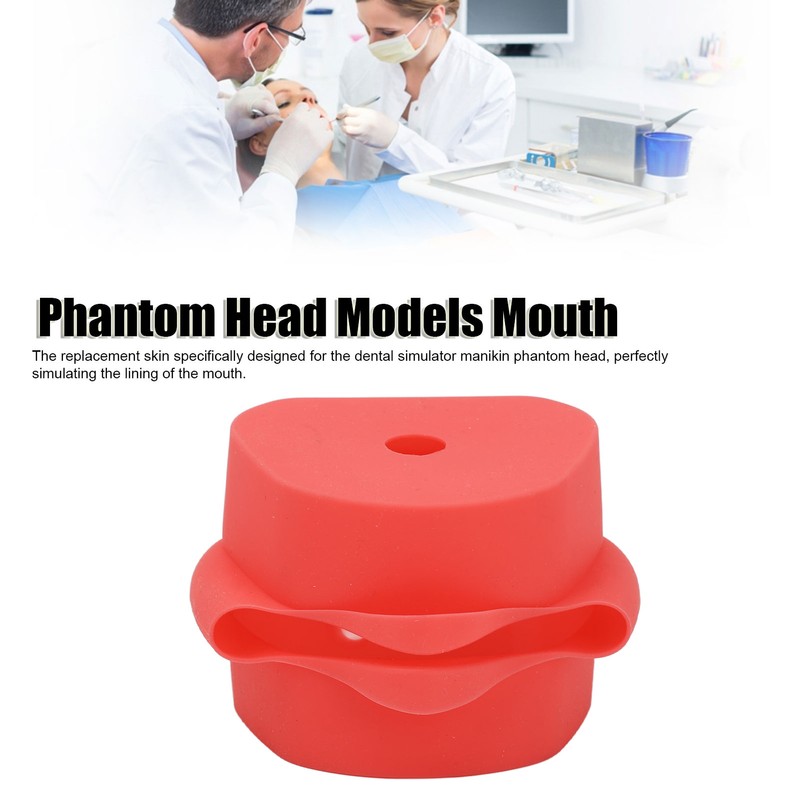 Dental Simulator Manikin Phantom Head Replacement Skin Soft Silicone Dental