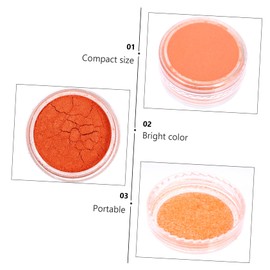 TEHAUX 16pcs Glittering Nail Art Pigment Powder Iridescent Eyeshadow and Nail Glitter Safe for Skin Random Colors for Makeup and Designs