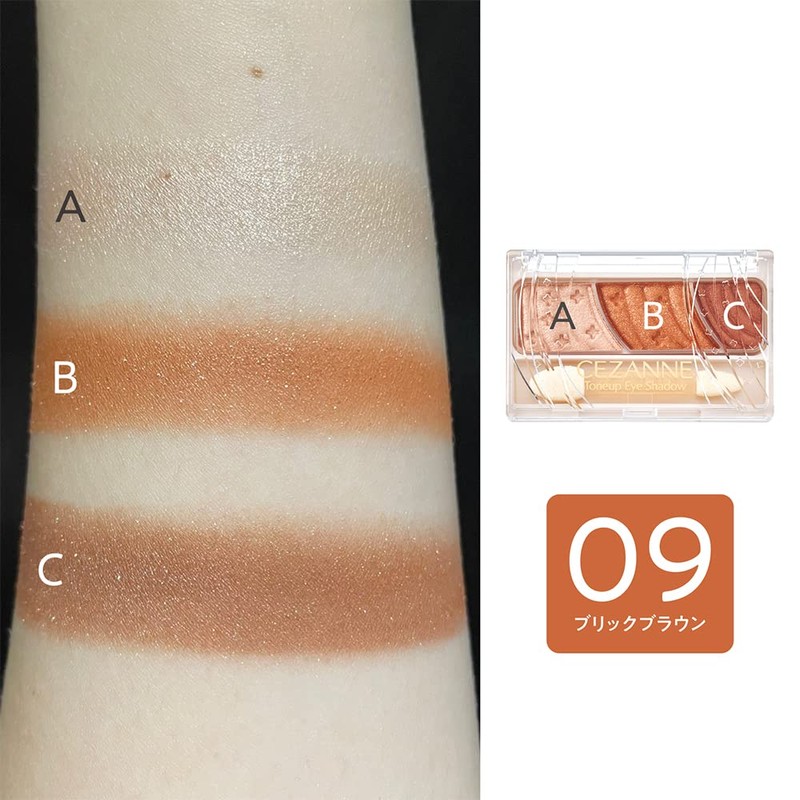 Cezanne Toneup Eye Shadow 09 Brick Brown, 0.09 oz (2.6