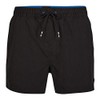 O'Neill Men's Cali Panel Shorts
