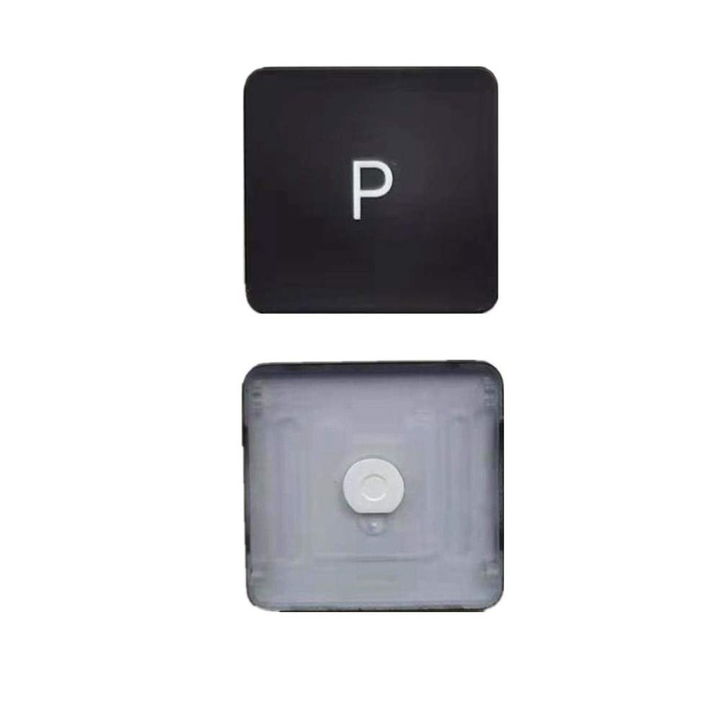 Replacement Individual P Key Cap and Hinges are Applicable for