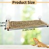 FlidRunest 21.6 x 7.8 in Seagrass Bearded Dragon Hammock for