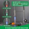 ECHLI Kitchen Faucet Pull Down Spray Head with LED Lights