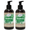 2-er Pack Dresdner Essenz Handseife Fresh & Care 2x 250ml