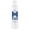 HAIR HAUS HairCare Silver Shampoo 250 ml