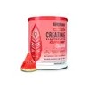 Birdman Creatine Refresher | Creatina Monohidratada con Electrolitos, Magnesio y