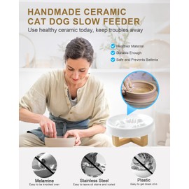 DDMOMMY Ceramic Cat Dog Feeder, Slow Feed Bowl with Stand, 2.5'' High, 5.2'' Wide, Whisker Friendly, Easy to Clean, for Cats and Small Dogs