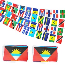2 set 20 Caribbean Carib Countries String Flag, 30ft International Flags Bunting Banner,Caribbean Carib Countries Flag Banner Decoration for School, Sports Events, Grand Opening, Party