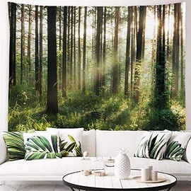 PROCIDA Forest Tree Tapestry Nature Landscape Tapestry Sunshine Through Tree Tapestries Wall Hanging Green Fresh Woodland Scenery for Bedroom Ceiling Aesthetic Decoration, 60" W x 40" H，Sunlight Forest