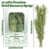 30–35PCS Dried Whole Rosemary Sprigs, 2.5oz Natural Spices in Clear-Window