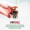 Hormex Rooting Cubes - Peat Moss & Coco Plugs for
