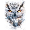 CALVENDO Puzzle Owl | Size