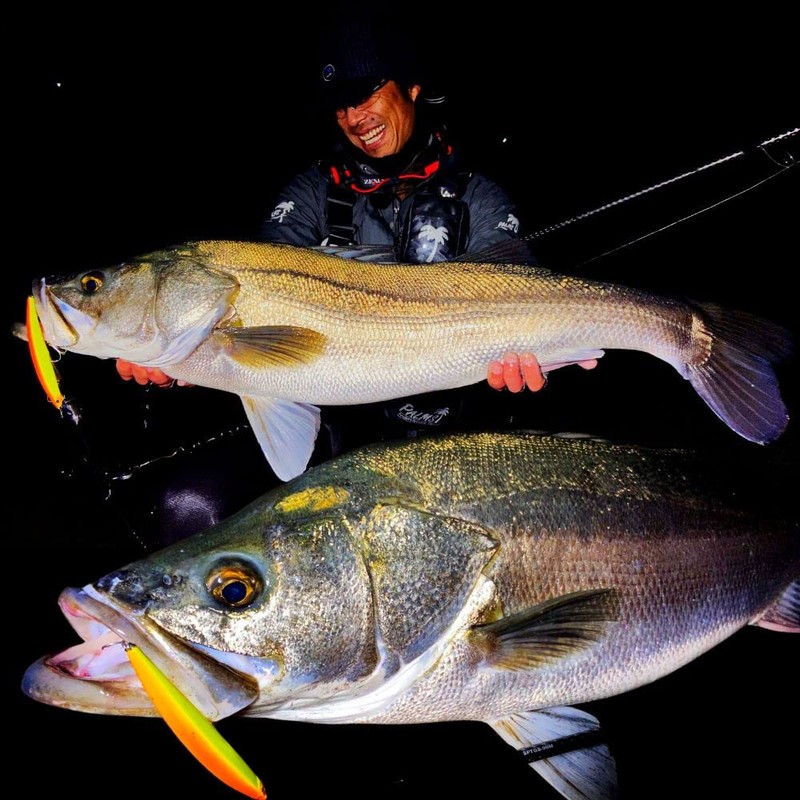 Katsuichi Decoy SN-14 EX Snap #2