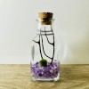 Toss Rocks Marimo Moss Ball Terrarium Kit