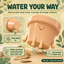 Maceta de Interior, única y Bonita Maceta de plástico con Cara, Maceta de Cactus de 3.5 Pulgadas, Regalo para Amantes de Las Plantas, Maceta Decorativa