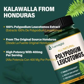 Fuenvegtal Polypodium Leucotomos Extract Capsules, Herbal Supplements Support Immune System, Skin Health, and Free Radicals Defense, Lasts 3 Months. 90 Count