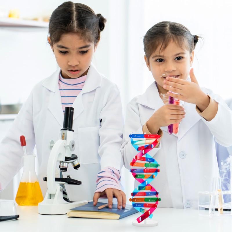 Toyvian DNA Models Double Helix Model Science Educational Teaching Instrument