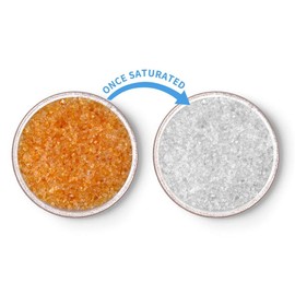 Wisesorb Hearing Aid Dryer, Hearing Aid Dehumidifier, Hearing Drying Jar and Dehumidifier Set (1 Container and 1pcs × 30g Capsules)