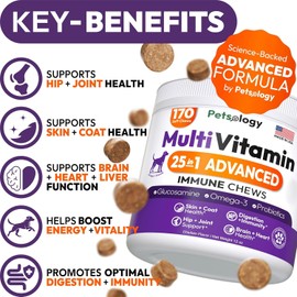 (2 Pack) Dog Multivitamin Chewable - 340 Chews - Dog Vitamins and Supplements with Glucosamine - Hip & Joint, Pet Immune Support, Gut & Heart Health - Senior & Puppy Multivitamin Pet Supplement