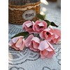 Crepe Paper Tulip DIY Flower Making Kit 12 pcs (Pink)