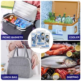 Mr.Ice Dry Ice Packs for Coolers, 24 Pack Ice Packs for Lunch Boxes Cold Packaging for Shipping Reusable, Long Lasting Shipping Cold Packs for Mailing, Newly Dry Ice Packets, Keep Food Drink Cool