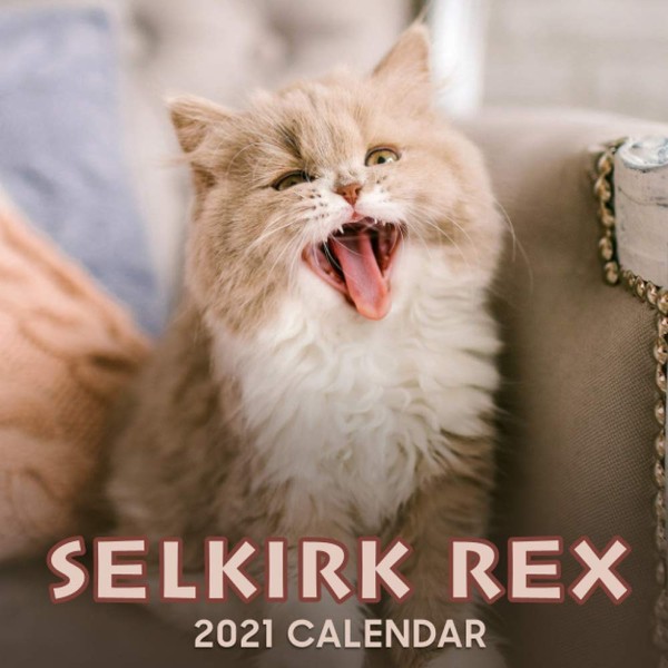 Selkirk Rex 2021 Calendar: Selkirk Rex 2021 Calendar, 8.5 x
