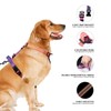 Roses&Poetry Dog Harness Large Breed, Adjustable No Pull Vest Harness