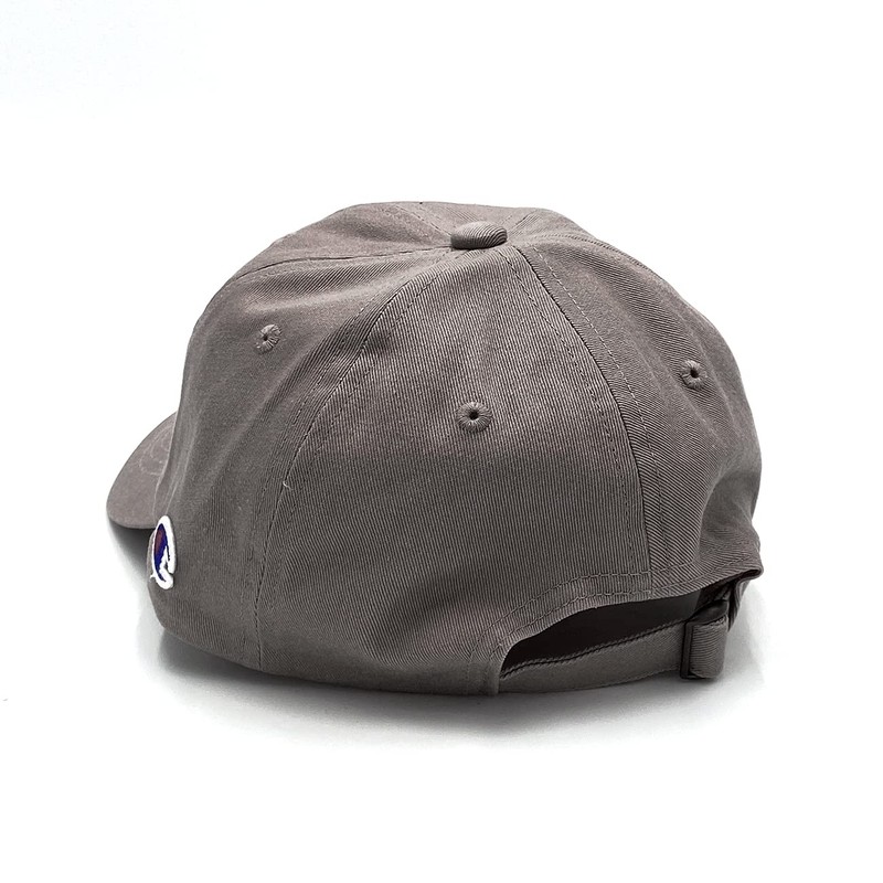 Champion 181-019A Cap, charcoal