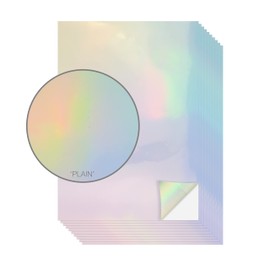 Evergreen Goods A4 Holographic Silver Printable Vinyl - Waterproof Glossy Paper for Inkjet & Laser Printer | Perfect for Cricut & Silhouette Cutters, Stunning Designs, 10 Sheets (Plain - No Pattern)
