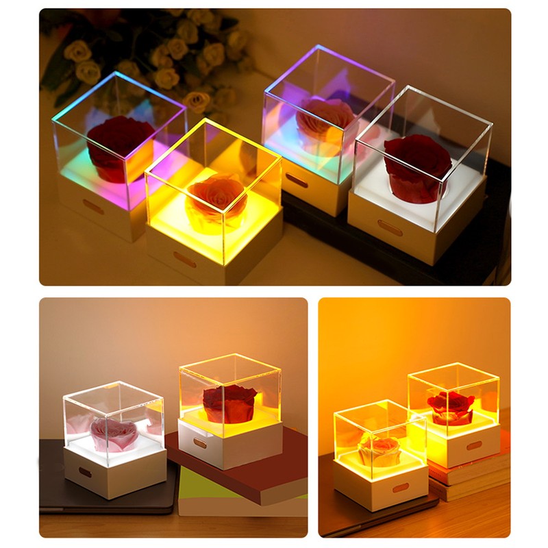Rose Night Light Romantic Small USB Charging Soft Brightness Decoration